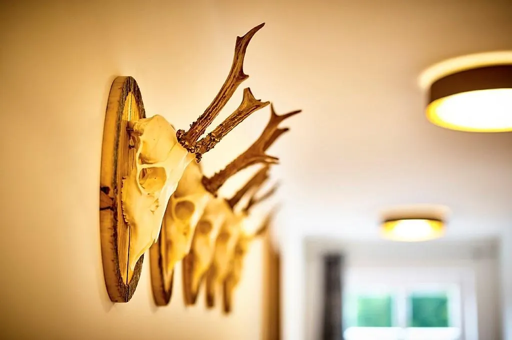 Inn Wild-Berghof Buchet Hotel Bernried Germany